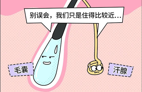 脫毛不徹底，毛毛的生命力到底有多頑強？(圖4)